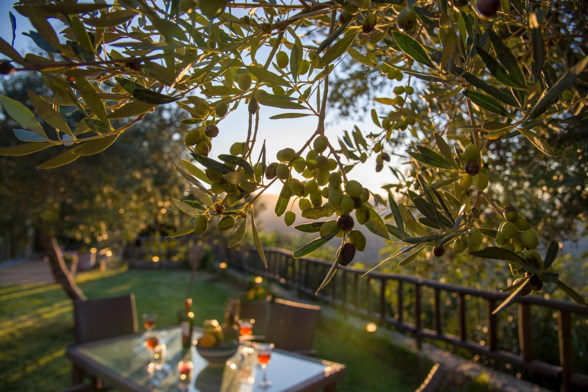 Malathiros Traditional Villas ภายนอก รูปภาพ